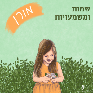 מורן