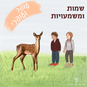 עופר ועופרי