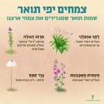 צמחים יפי תואר שמות תואר שמגדירים את צמחי ארצנו לחך אזמלני- העלים דמויי אזמל, צרים ומחודדים. מרוה דגולה- מניפה דגל צבעוני ובולט המזמין חרקים מאביקים חטמית מאצבעת- העלים דמויי אצבעות. גזר קפח- קיפח = דק וגבוה מאוד