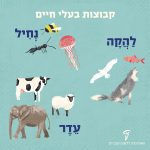 קבוצות בעלי חיים: להקה- דגים, כלבים, ציפורים עדר- פילים, כבשים, פרות נחיל- מדוזות, נמלים, דבורים