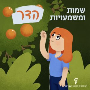 הדר