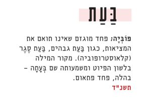 פוביה; פחד מוגזם שאינו תואם את המציאות, כגון בעת גבהים. מקור המילה בלשון הפיוט ומשמעותה שם בעתה – בהלה, פחד פתאום