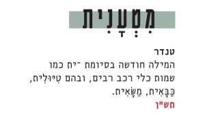 טנדר; המילה חודשה בסיומת -ית כמו שמות כלי רכב רבים, ובהם טיולית, כבאית, משאית