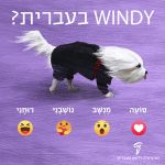 WINDY בעברית? סועה- אימוג'י של לב מנושב- אימוג'י מופתע נושבני- אימוג'י של סמיילי מחבק לב רוחני- אימוג'י צוחק