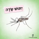 יתוש שדה