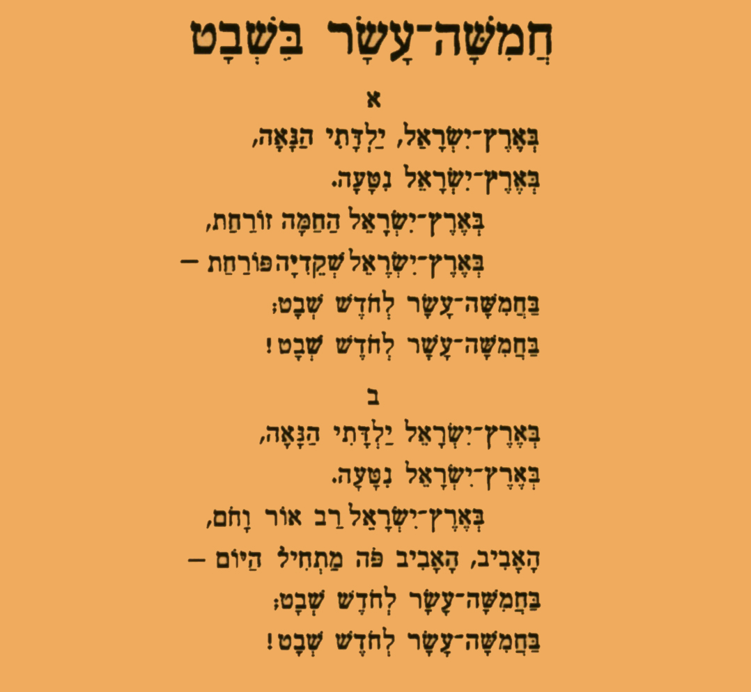 שקדייה-3