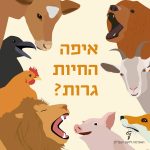 איורים של חיות שונות ובמרכז הכיתוב: איפה החיות גרות?