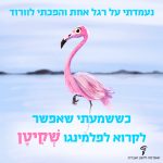 נעמדתי על רגל אחת והפכתי לוורוד כששמעתי שאפשר לקרוא לפלמינגו- שקיטן