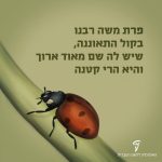 פרת משה רבנו בקול התאוננה, שיש לה שם מאוד ארוך והיא הרי קטנה. איור של פרת משה רבנו