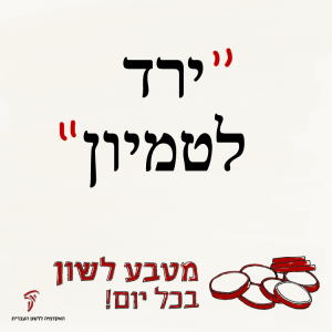 יָרַד לְטִמְיוֹן