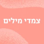 צמדי מילים