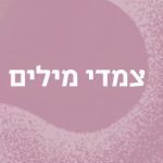 צמדי מילים