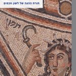 כריכה של ספר: תורת ההגה של לשון חכמים שמעון שרביט