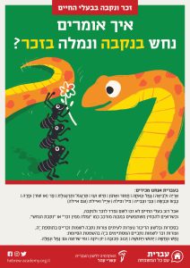 זכר ונקבה בבעלי החיים איך אומרים נחש בנקבה ונמלה בזכר? בעברית אנחנו מכירים: אריה ולביאה, גמל ונאקה, חמור ואתון, תיש ועז, תרנגול ותרנגולת, פר (או שור) ופרה, כבש וכבשה, צבי וצבייה, פיל ופילה, אייל ואיילת (וגם איילה). אבל רוב בעלי החיים לא זכו לשם נפרד לזכר ולנקבה, וכשרוצים להבחין משתמשים במבנה מורכב כמו "נמלה ממין זכר" או "נקבת הנחש". בספרות ובלשון הדיבור נוצרות לעיתים צורות נקבה לשמות זכריים בתוספת -ה, וצורות זכר לשמות נקביים המסתיימים ב- ה בהשמטת הסיומת: נחש ונחשה, יתוש ויתושה, זבוב וזבובה, יון ויונה, ומי שרוצה גם: נמל ונמלה.