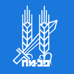 פלמח