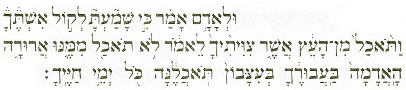 בראשית ג, יז (באדיבות הוצאת קורן ירושלים בע"מ)