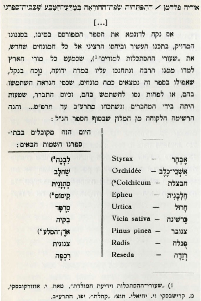מתוך מאמרו של אוריה פלדמן
